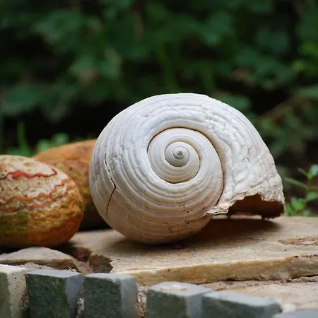 Appartamento Ta Pefka Nikiti  Esterno foto