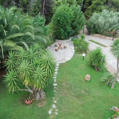 Appartamento Ta Pefka Nikiti  Esterno foto