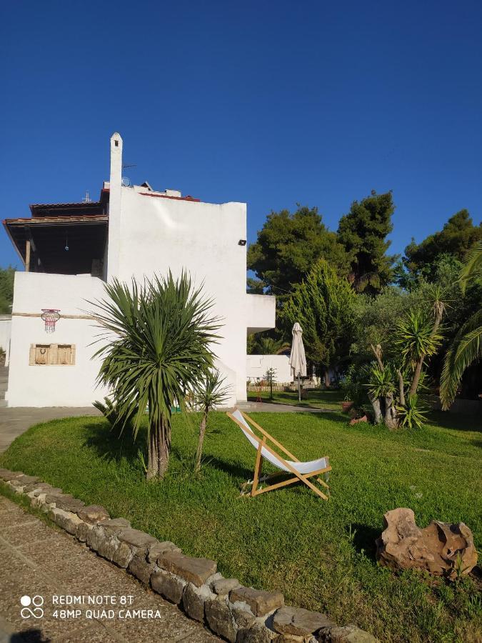 Apartment Ta Pefka Nikiti (Sithonia)