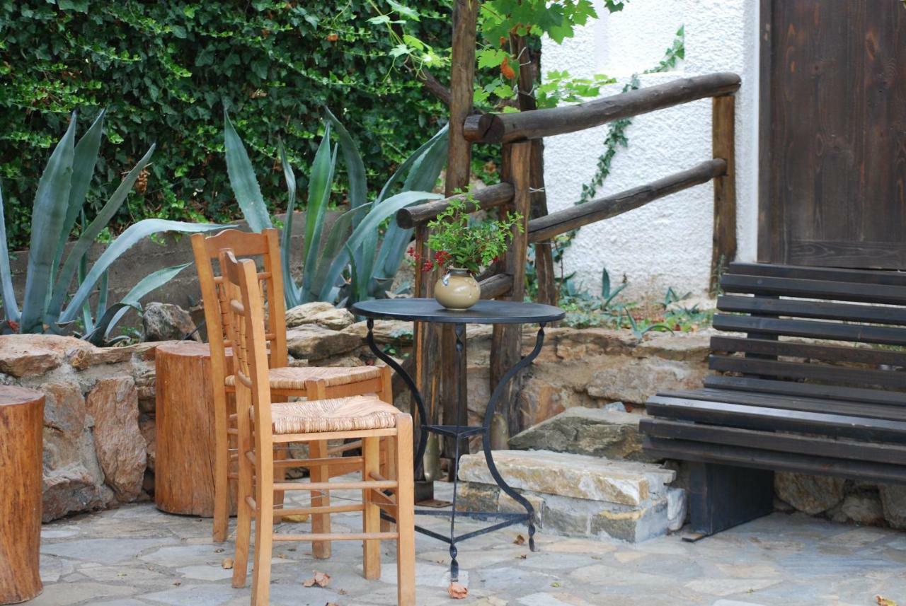 Ta Pefka Nikiti (Sithonia)