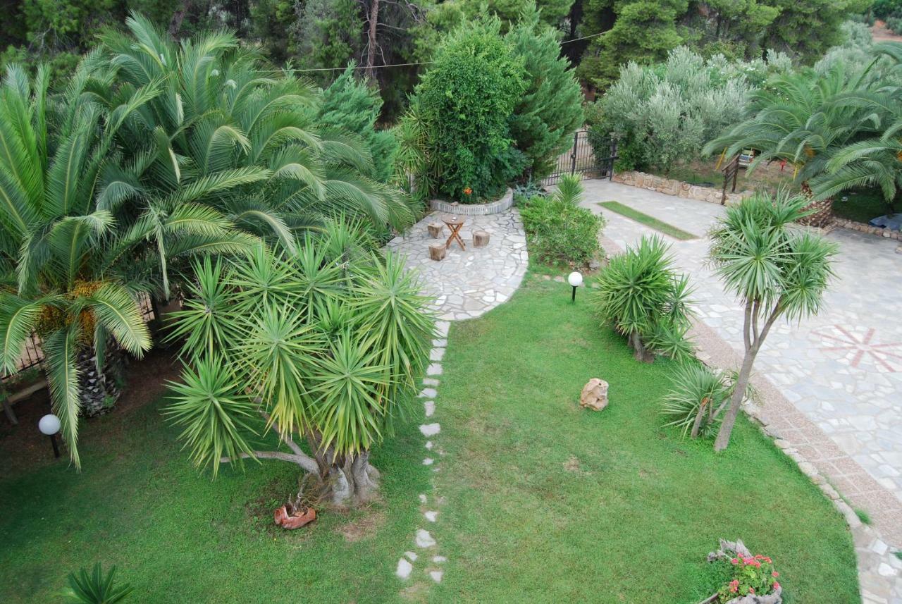 Ta Pefka Apartment Nikiti (Sithonia)